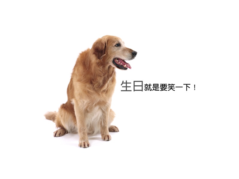 笑話大全網頁,不要說我設計你喔!生日就是要笑一下!
