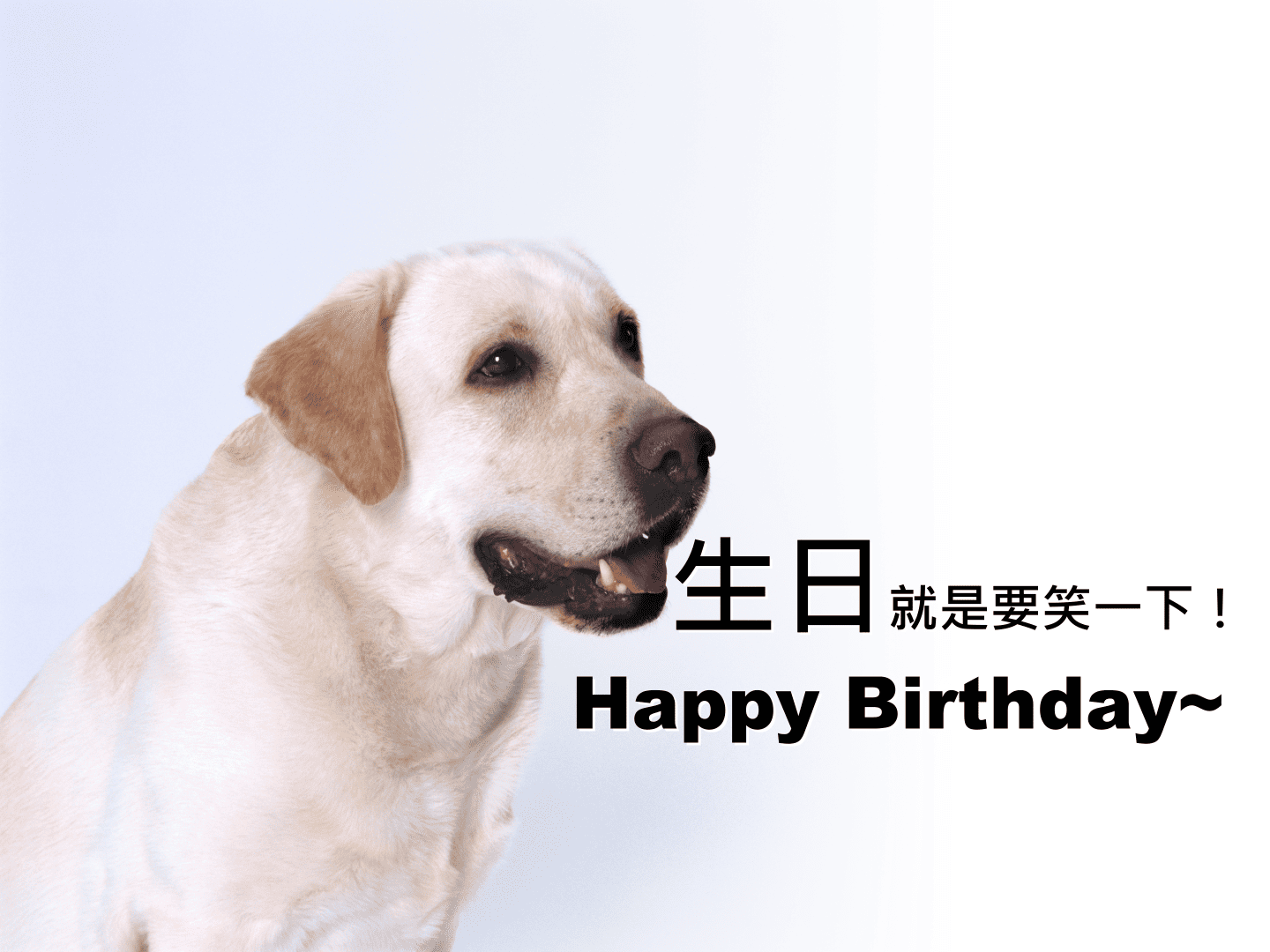 生日就是要笑一下！笑話大全網頁，不要說我設計你喔！